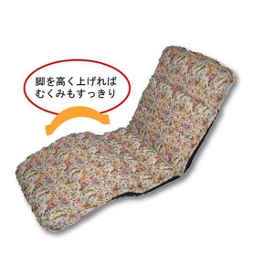���������}�b�T�[�W���֎q�i�q�[�^�[�t�j