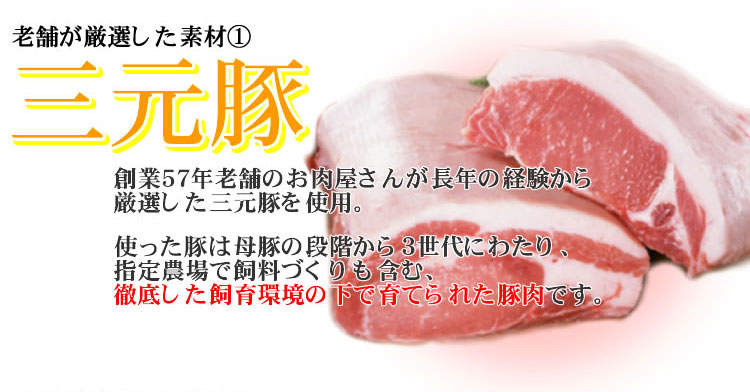 �w����������̓��������ɂ���x 12�� 